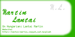 martin lantai business card